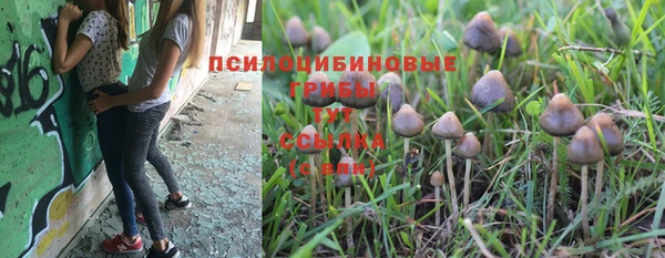 не бодяженный Приозерск